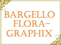 BargelloFloragraphix BargelloFloragraphix